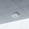 Ledfire Emergency Mounted on Concrete Ceiling