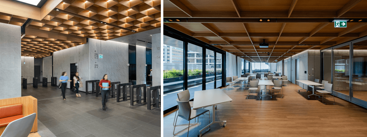 Interior of two commercial offices showing high quality low glare lighting design